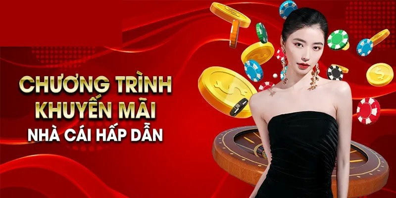 Tham gia ngay chính sách hoàn trả từ SIU88 và kèm một số lưu ý