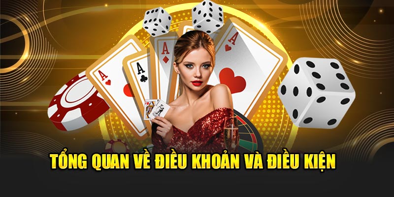 Hãy tuân thủ Điều khoản điều kiện cá cược khi tham gia tại SIU88