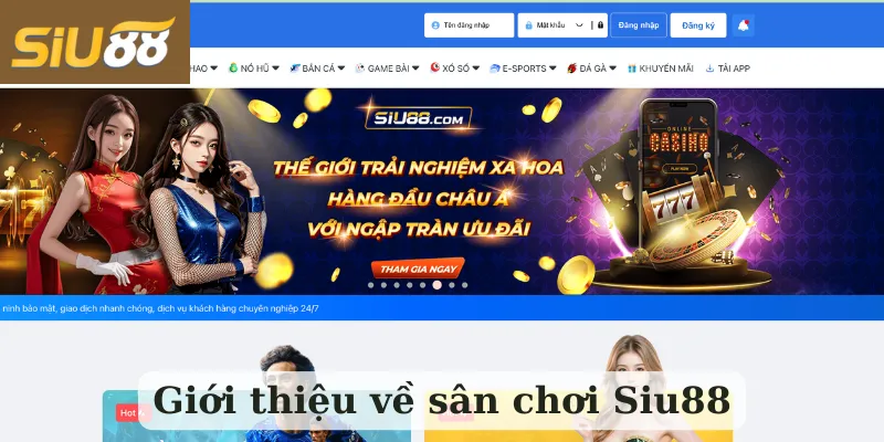 Lịch sử hình thành và phát triển SIU88