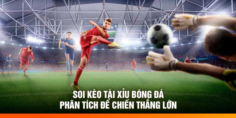 Nắm bắt thông tin đội – Kinh nghiệm cá cược bóng đá số 1