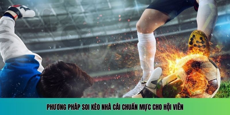 Mẹo soi kèo nhà cái từ nguồn tin chất lượng